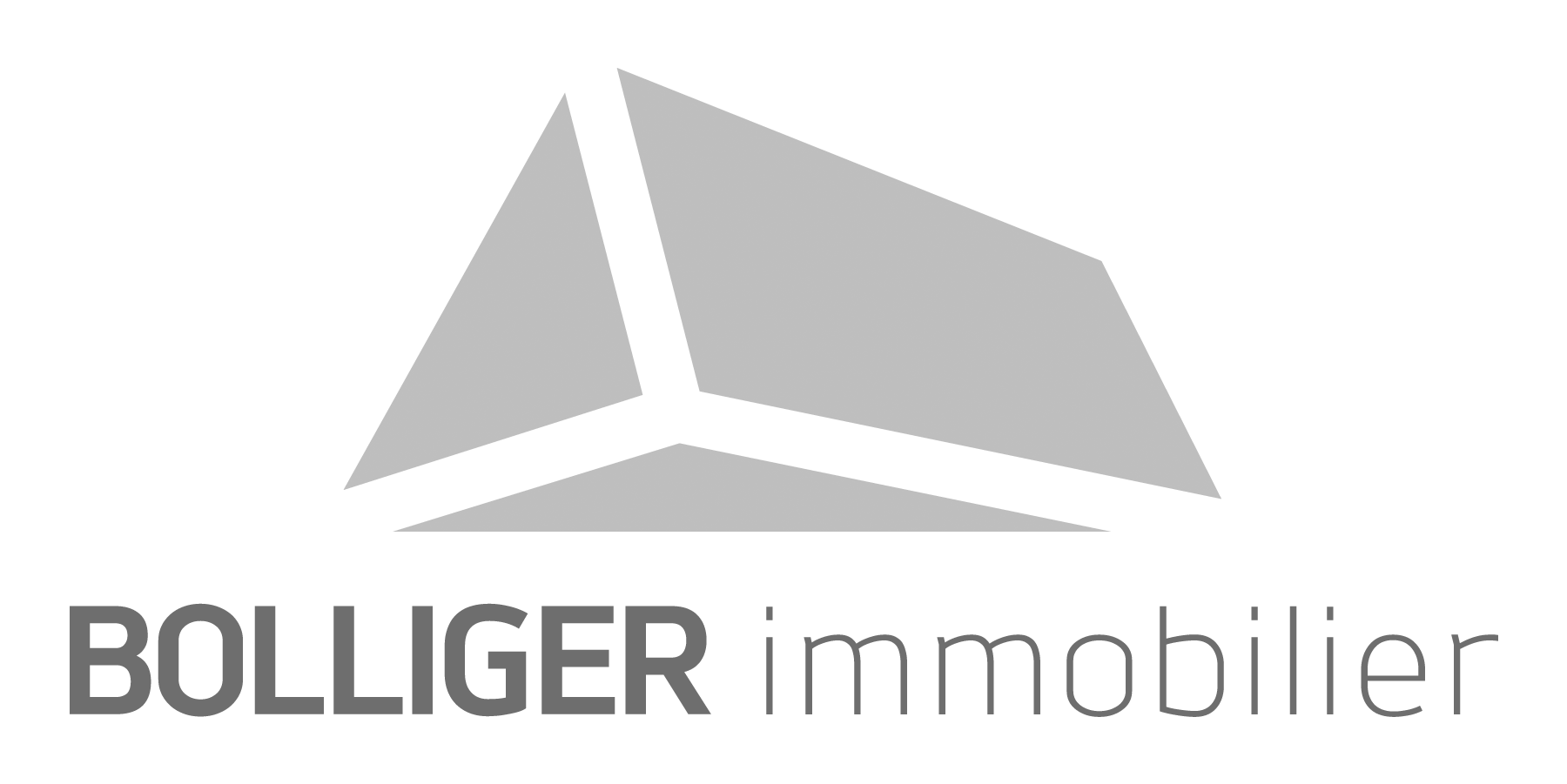 Bolliger_logo-clr_rvb.png